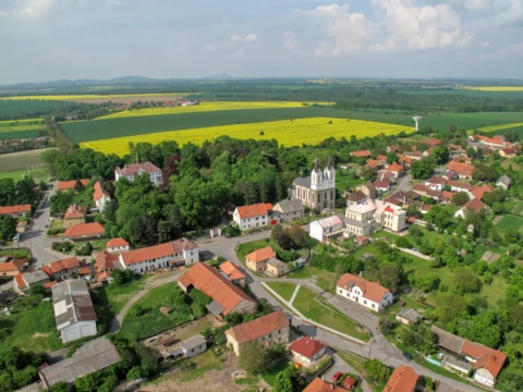 Řepín 2010