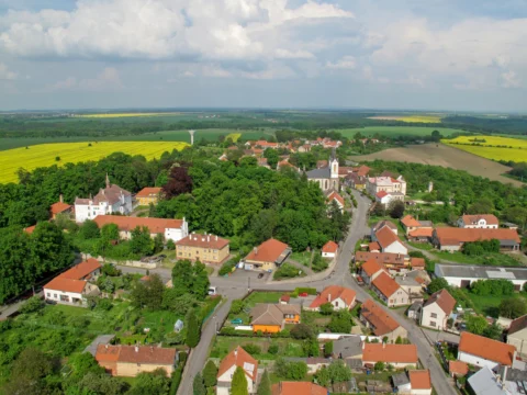 Řepín 2010