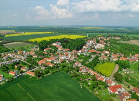 Řepín 2010