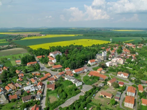 Řepín 2010