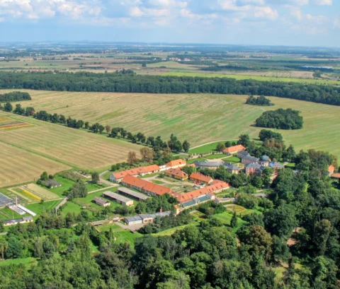 Zámek Veltrusy 2010