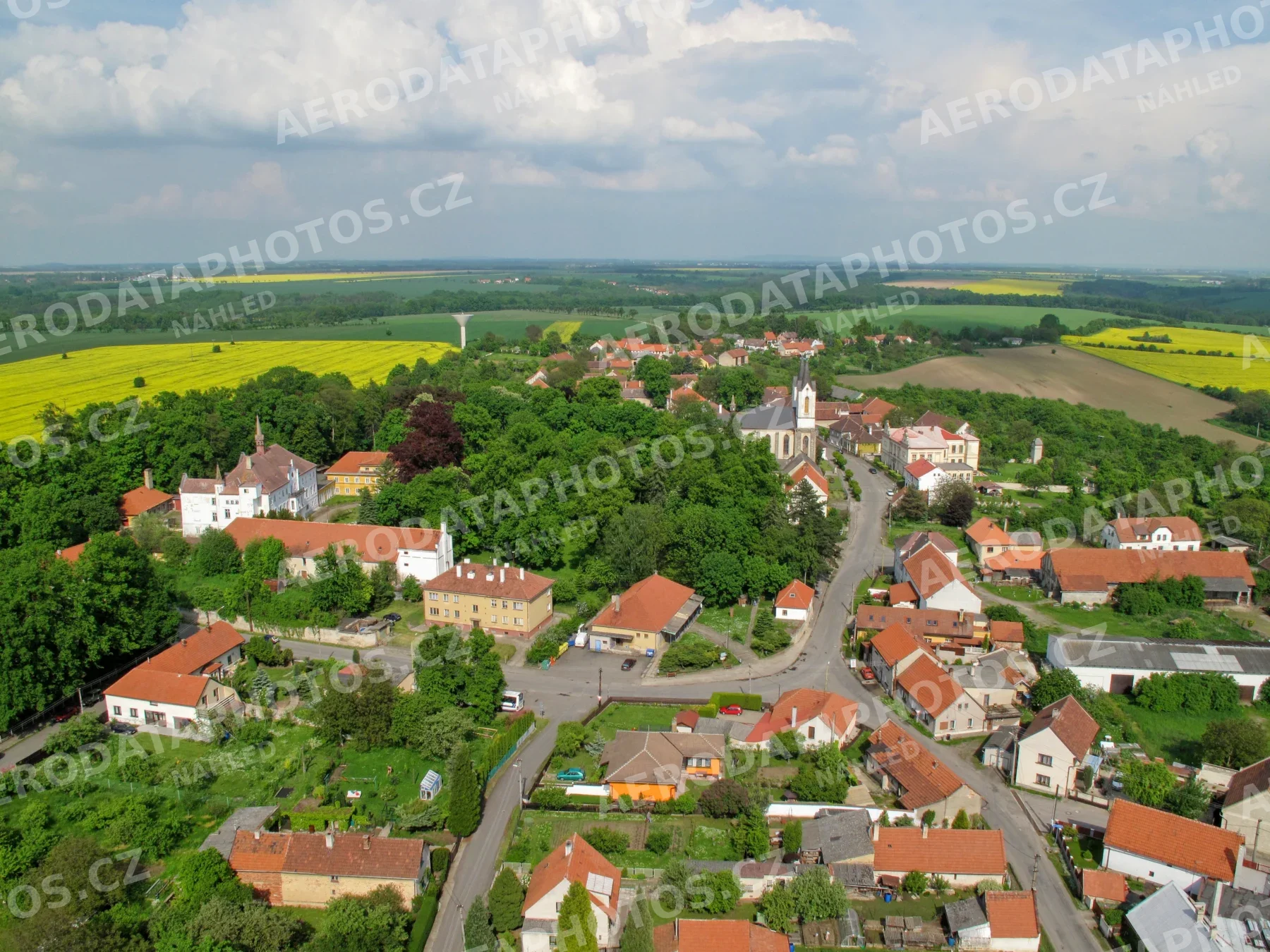Řepín 2010