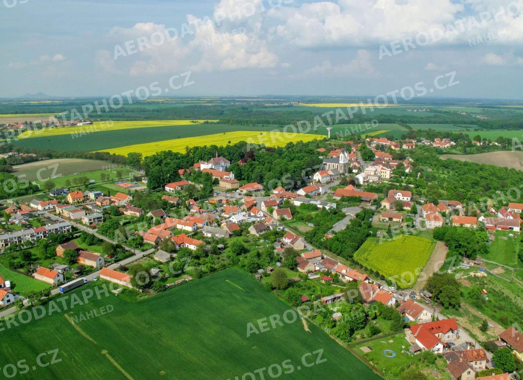 Řepín 2010