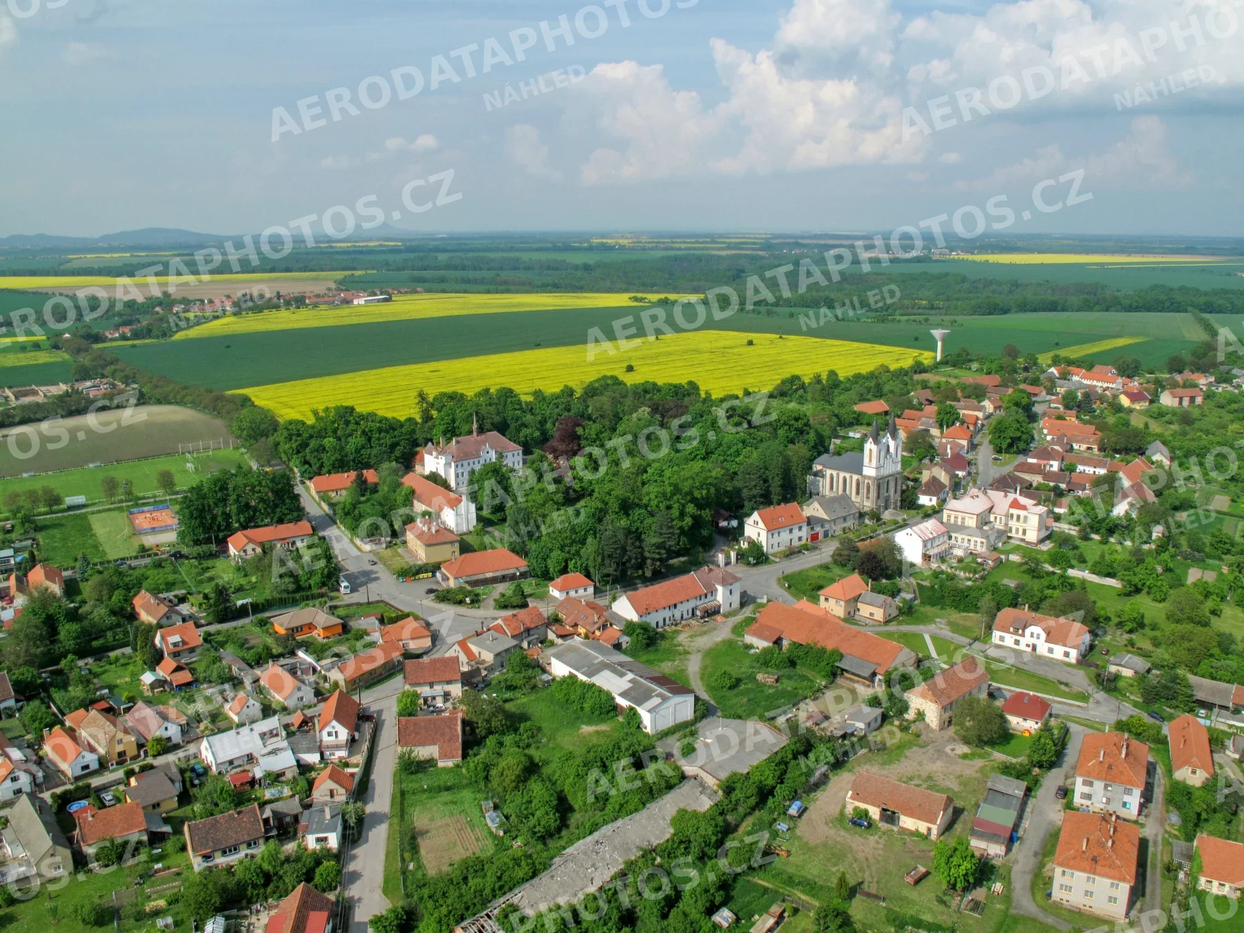Řepín 2010